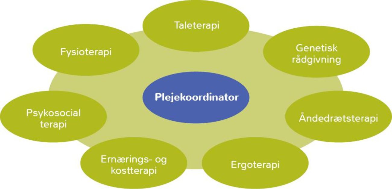 Illustration af sundhedspersoner du kan møde